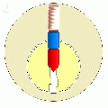 1.04-normal operation (front view).gif